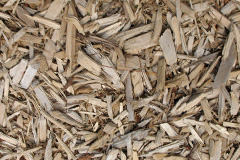 biomass boilers Truas